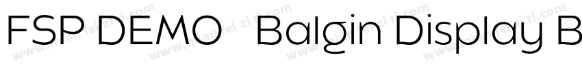 FSP DEMO   Balgin Display Black Bol字体转换